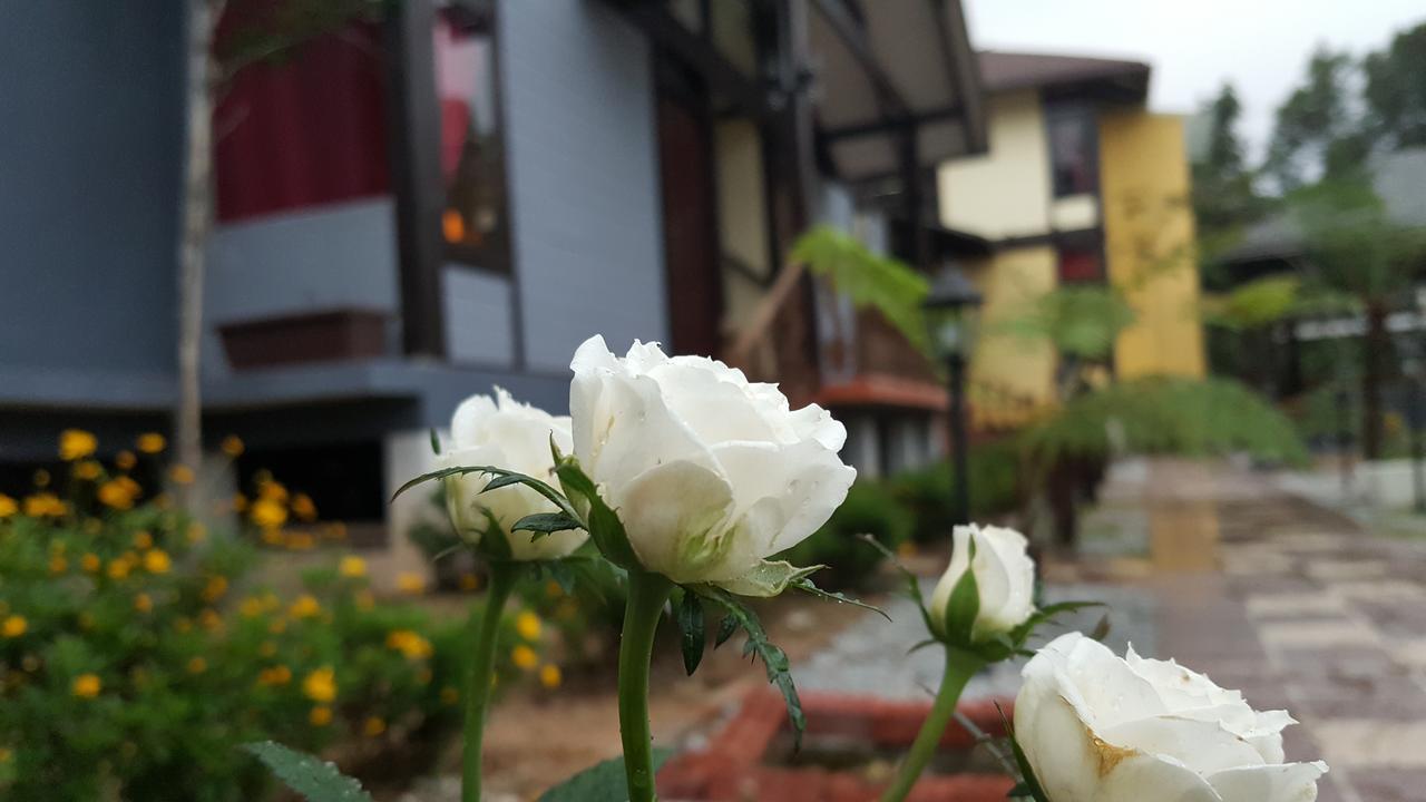 Villa Casa Loma Cameron Highlands Exterior foto