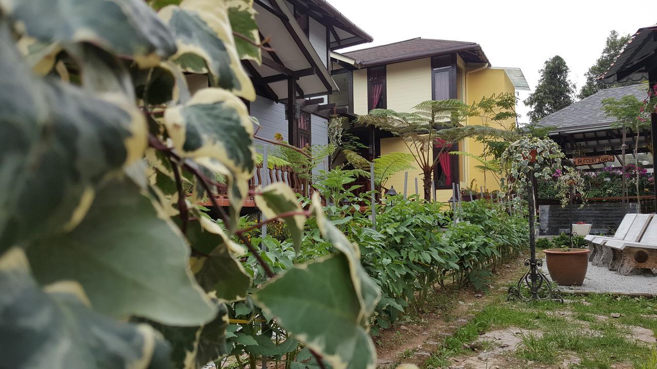 Villa Casa Loma Cameron Highlands Exterior foto